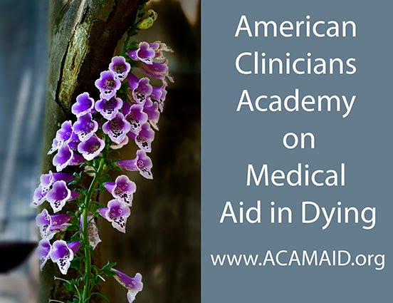 American Clinicians Academy on Medical Aid in Dying